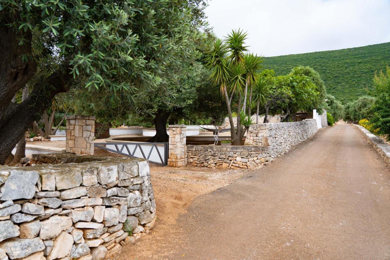 Villa Hill Trull - Typical Apulian House Monopoli Exterior foto